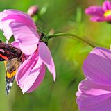 GEO Leserfoto: Die besten Leserfotos: November 2014 - Bild 18