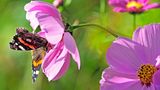GEO Leserfoto: Die besten Leserfotos: November 2014 - Bild 18