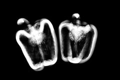 Röntgen: Röntgenstrahlung: Voller Durchblick - Bild 3