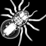 Röntgen: Röntgenstrahlung: Voller Durchblick - Bild 17