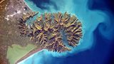 Banks-Halbinsel, Neuseeland