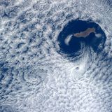 "Rauchendes Seepferdchen"