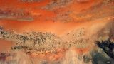 Bewässerungsflächen in der Sahara