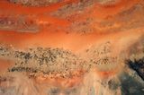 Bewässerungsflächen in der Sahara