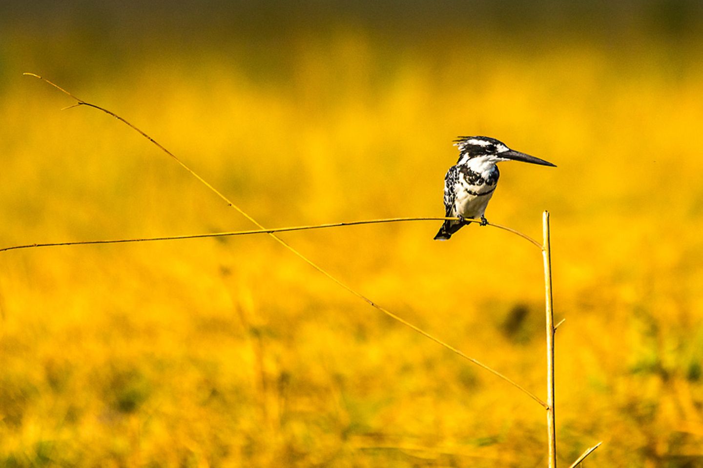 GEO Leserfoto: Die besten Leserfotos: Dezember 2014 - Bild 3