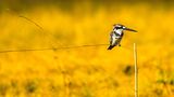 GEO Leserfoto: Die besten Leserfotos: Dezember 2014 - Bild 3