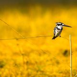 GEO Leserfoto: Die besten Leserfotos: Dezember 2014 - Bild 3