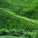 GEO Leserfoto: Die besten Leserfotos: Dezember 2014 - Bild 5