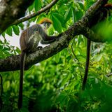 GEO Leserfoto: Die besten Leserfotos: Dezember 2014 - Bild 10