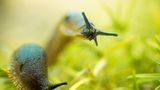 GEO Leserfoto: Die besten Leserfotos: Dezember 2014 - Bild 14
