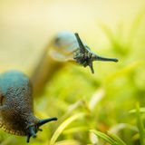 GEO Leserfoto: Die besten Leserfotos: Dezember 2014 - Bild 14