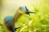GEO Leserfoto: Die besten Leserfotos: Dezember 2014 - Bild 14