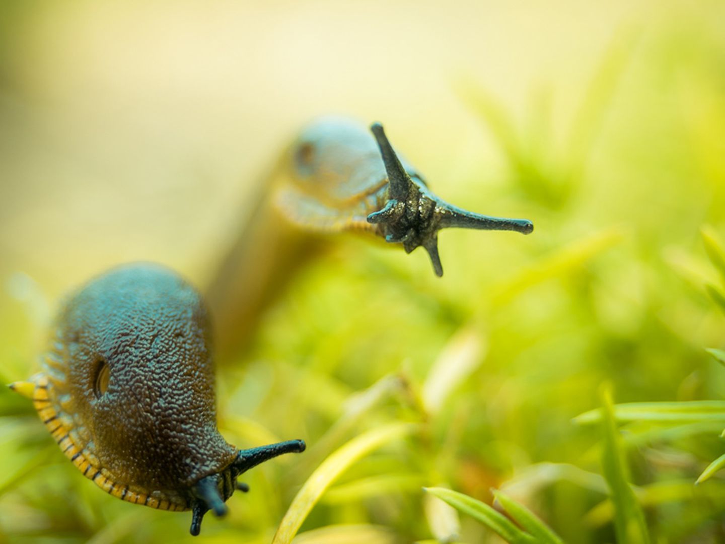GEO Leserfoto: Die besten Leserfotos: Dezember 2014 - Bild 14