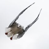 GEO Leserfoto: Die besten Leserfotos: Dezember 2014 - Bild 18