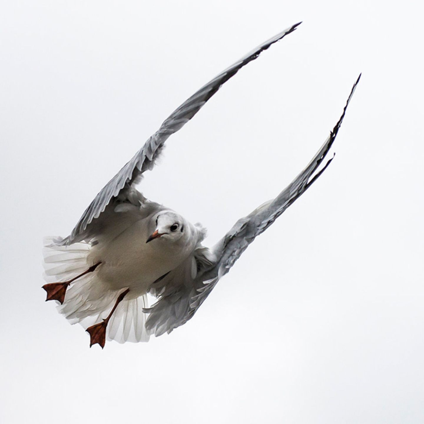 GEO Leserfoto: Die besten Leserfotos: Dezember 2014 - Bild 18