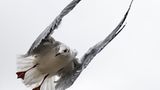 GEO Leserfoto: Die besten Leserfotos: Dezember 2014 - Bild 18