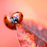 GEO Leserfoto: Die besten Leserfotos: Dezember 2014 - Bild 19