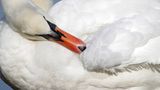 GEO Leserfoto: Die besten Leserfotos: Dezember 2014 - Bild 25