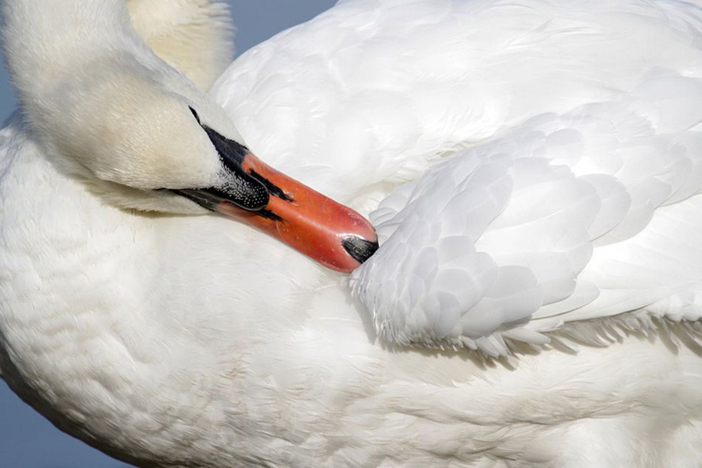 GEO Leserfoto: Die besten Leserfotos: Dezember 2014 - Bild 25