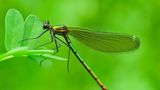 GEO Leserfoto: Die besten Leserfotos: Dezember 2014 - Bild 26