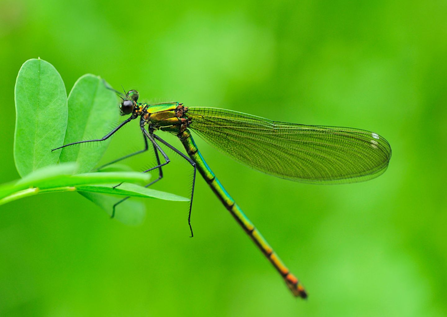 GEO Leserfoto: Die besten Leserfotos: Dezember 2014 - Bild 26