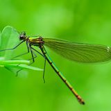 GEO Leserfoto: Die besten Leserfotos: Dezember 2014 - Bild 26