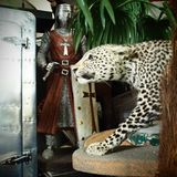 Requisiten: Fotostrecke: Das Requisitenlager "Axis Mundi"