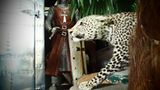 Requisiten: Fotostrecke: Das Requisitenlager "Axis Mundi"