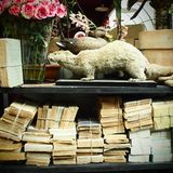 Requisiten: Fotostrecke: Das Requisitenlager "Axis Mundi" - Bild 5