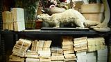 Requisiten: Fotostrecke: Das Requisitenlager "Axis Mundi" - Bild 5