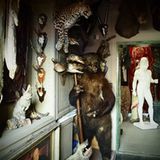 Requisiten: Fotostrecke: Das Requisitenlager "Axis Mundi" - Bild 9