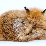 Gut geschützt vor Kälte