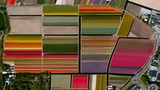 Lisse, Niederlande