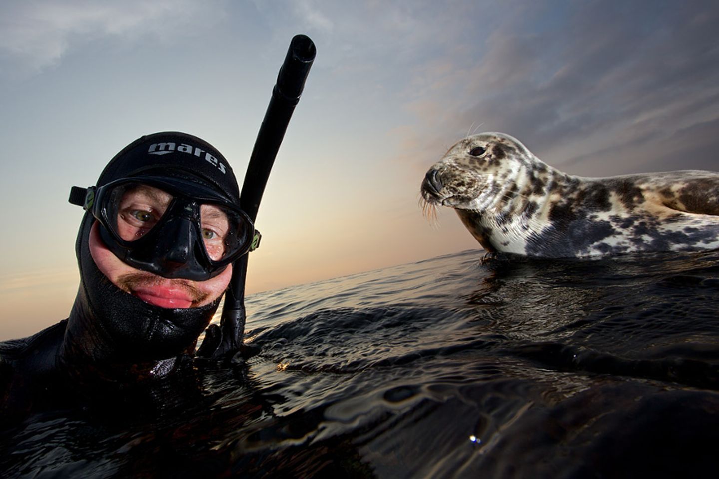 Wildlife-Selfie