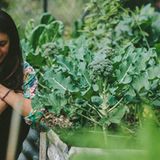 Byron Bay, Australien