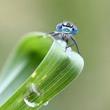 GEO Leserfoto: Die besten Leserfotos: Januar 2015