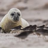 GEO Leserfoto: Die besten Leserfotos: Januar 2015 - Bild 7