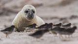 GEO Leserfoto: Die besten Leserfotos: Januar 2015 - Bild 7