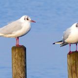 GEO Leserfoto: Die besten Leserfotos: Januar 2015 - Bild 8