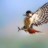 GEO Leserfoto: Die besten Leserfotos: Januar 2015 - Bild 10