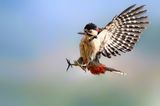 GEO Leserfoto: Die besten Leserfotos: Januar 2015 - Bild 10