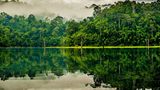 GEO Leserfoto: Die besten Leserfotos: Januar 2015 - Bild 12