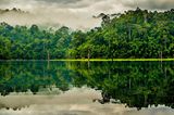 GEO Leserfoto: Die besten Leserfotos: Januar 2015 - Bild 12