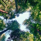 GEO Leserfoto: Die besten Leserfotos: Januar 2015 - Bild 13