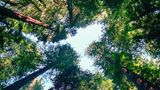 GEO Leserfoto: Die besten Leserfotos: Januar 2015 - Bild 13