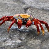 GEO Leserfoto: Die besten Leserfotos: Januar 2015 - Bild 16