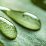 GEO Leserfoto: Die besten Leserfotos: Januar 2015 - Bild 18