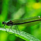 GEO Leserfoto: Die besten Leserfotos: Januar 2015 - Bild 19