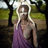 Rinderzucht während der Regenzeit