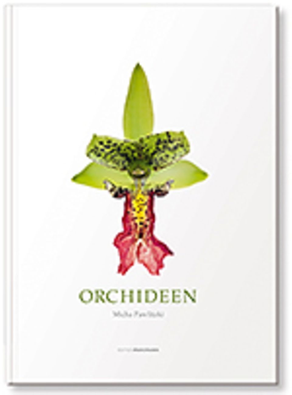 Orchideen: Micha Pawlitzki Orchideen 312 S., 450 Farbfotos Edition Panorama 2015 78 Euro